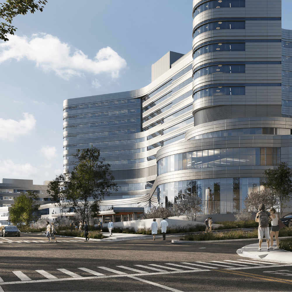 Design Assist Model the building geometry